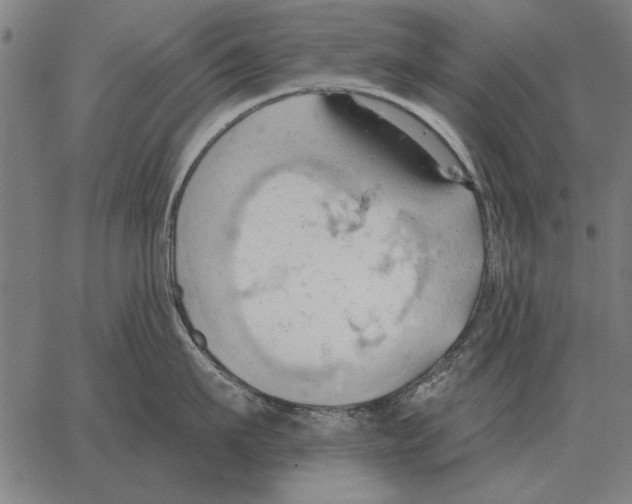 X0000062890911200602101738