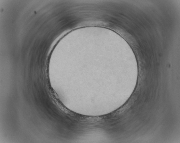 X0000062890912200602101738