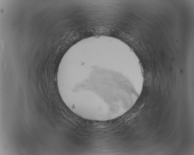 X0000062890913200602101737