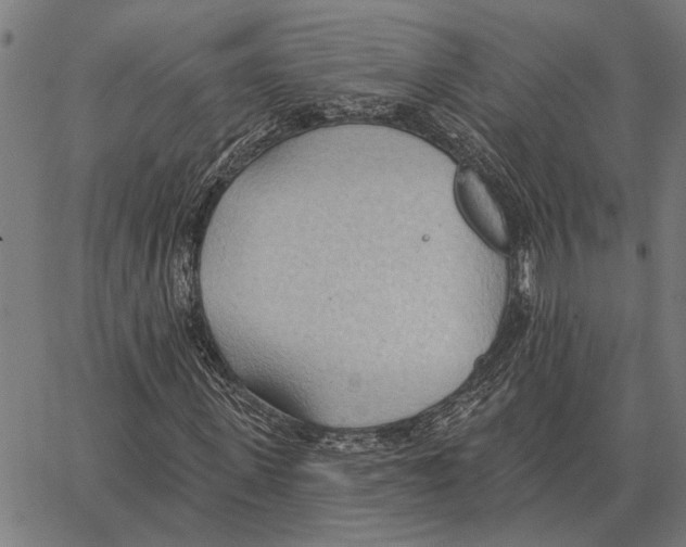 X0000062890915200602101737