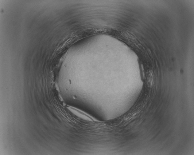 X0000062890916200602101737