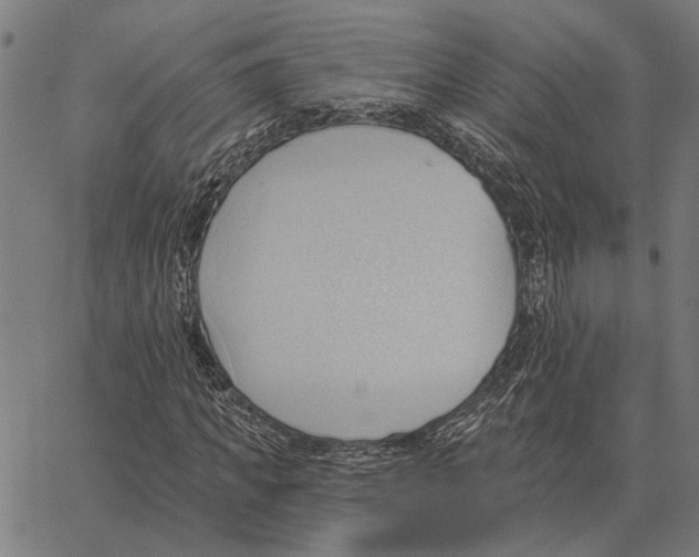 X0000062890917200602101737