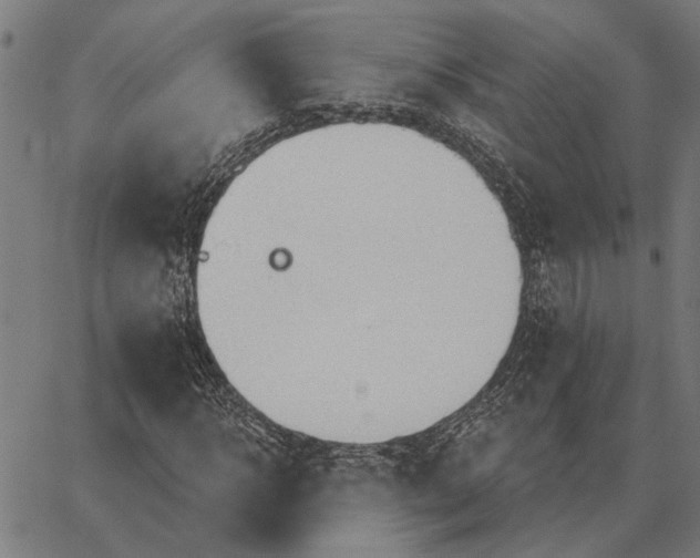 X0000062890918200602101737