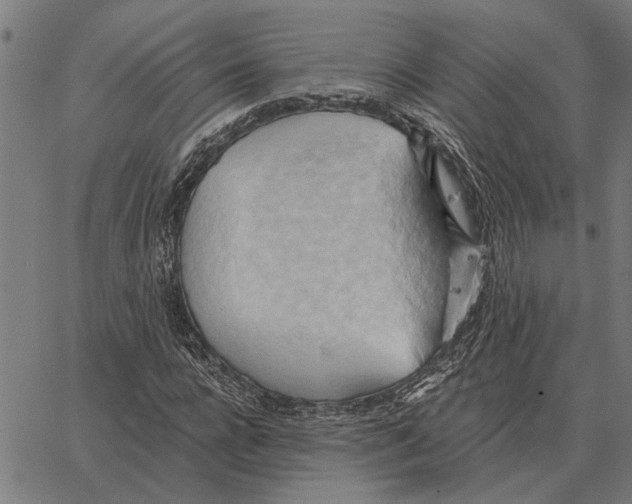 X0000062890920200602101737