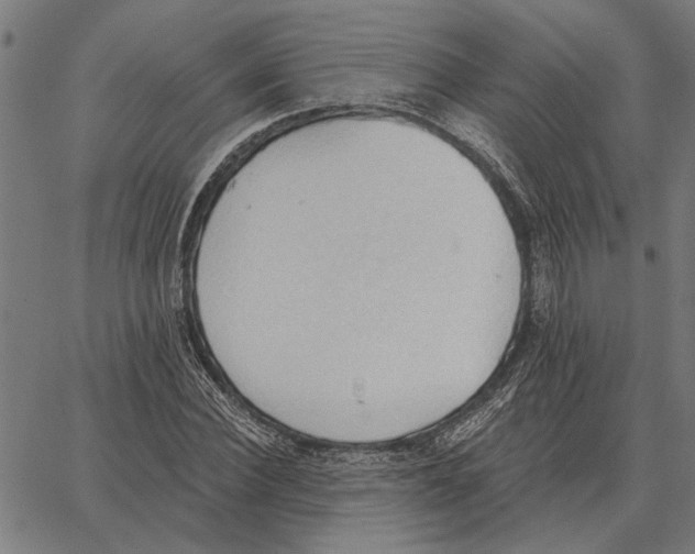 X0000062890924200602101737