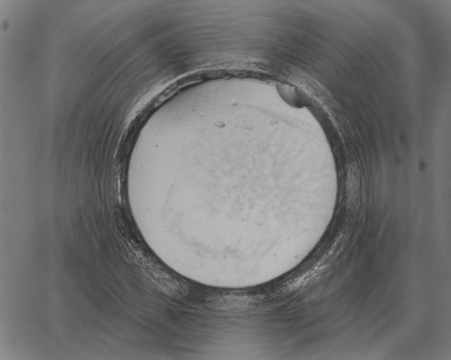 X0000062890925200602101737