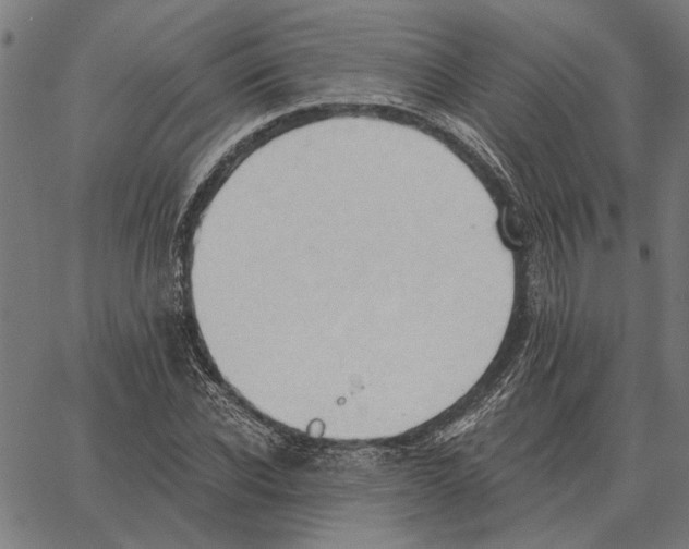 X0000062890926200602101737