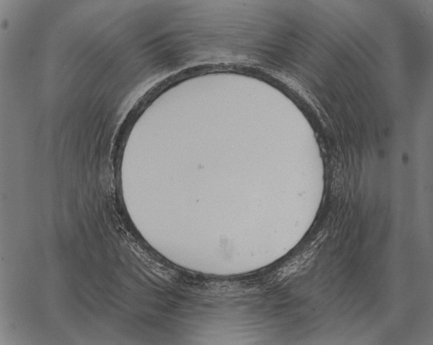 X0000062890927200602101737