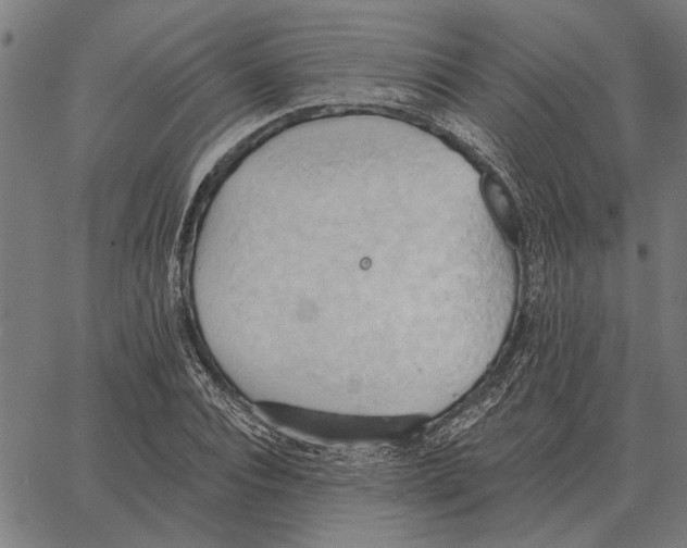 X0000062890928200602101737