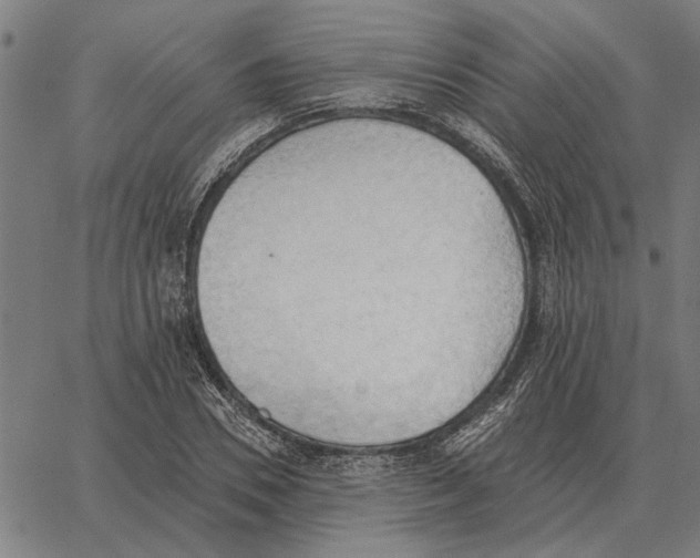 X0000062890930200602101737