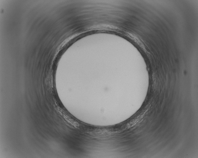 X0000062890931200602101737