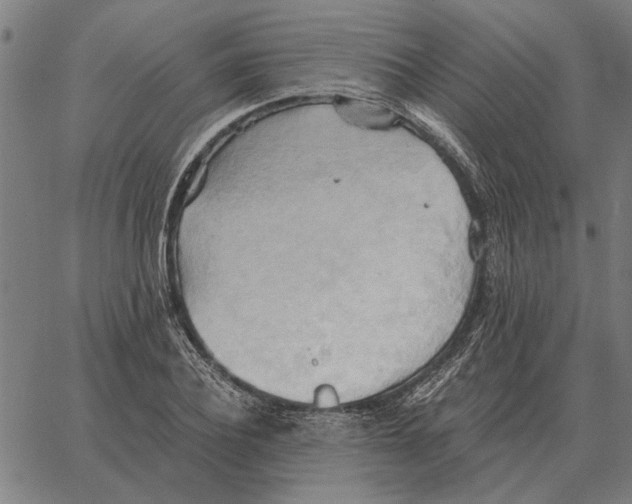 X0000062890932200602101737