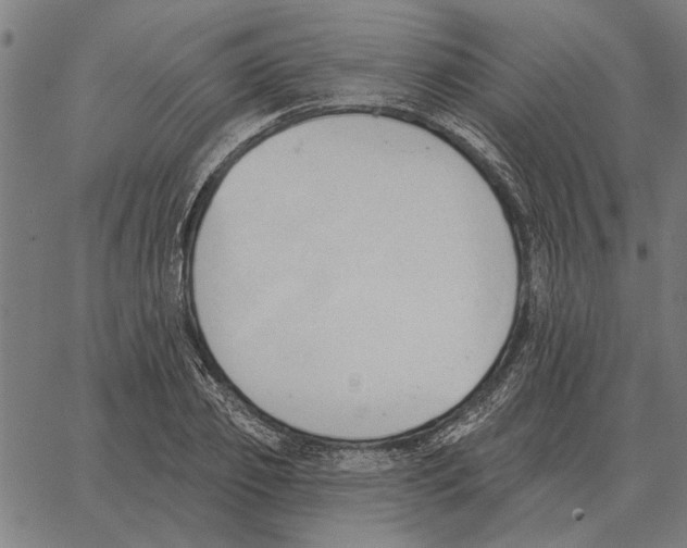 X0000062890933200602101737