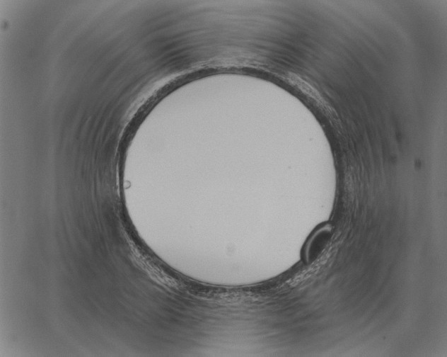 X0000062890934200602101738