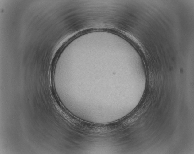 X0000062890935200602101738