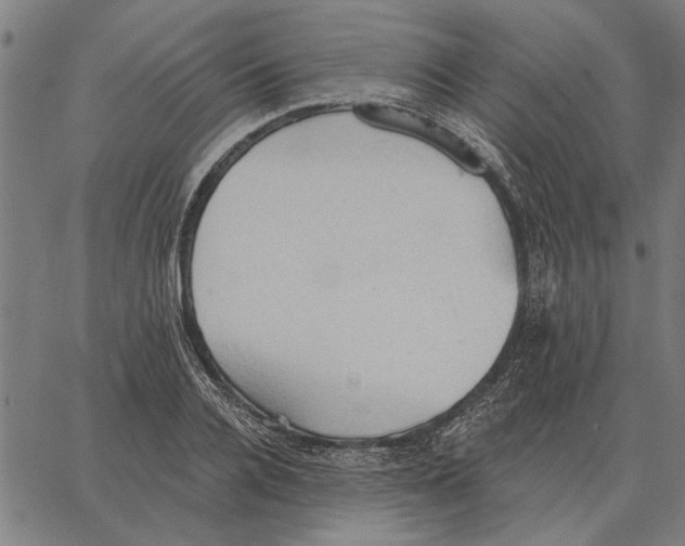 X0000062890936200602101738