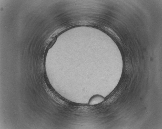 X0000062890938200602101738