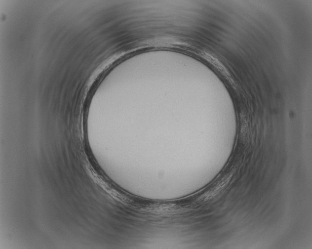 X0000062890939200602101738