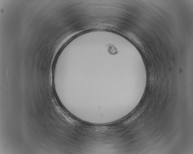 X0000062890940200602101738