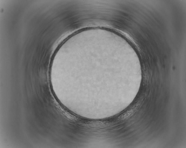 X0000062890943200602101738