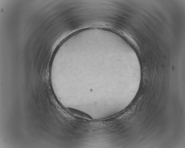 X0000062890944200602101738