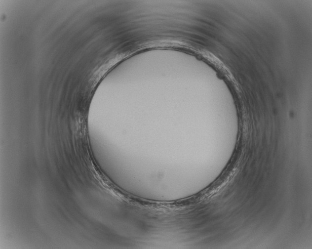 X0000062890945200602101738