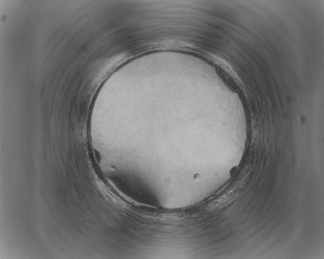 X0000062890946200602101738