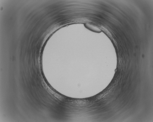 X0000062890947200602101738