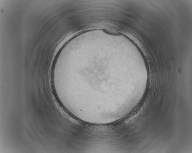 X0000062890949200602101738