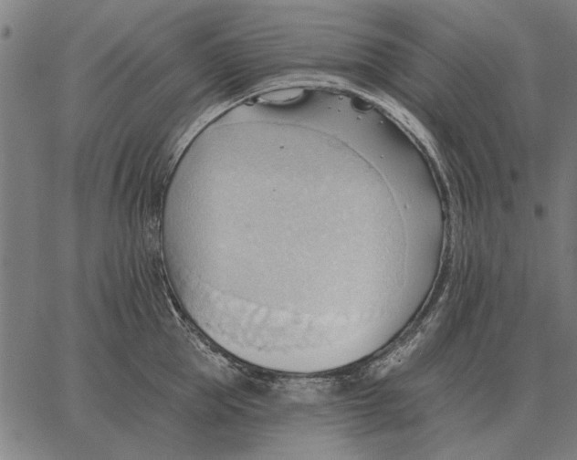 X0000062890953200602101738