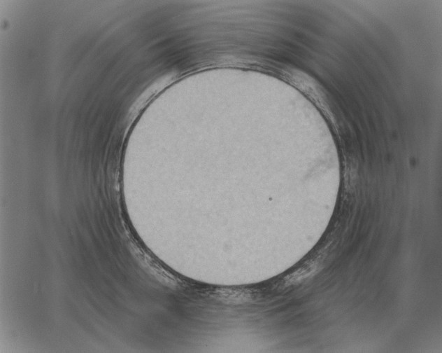 X0000062890954200602101738