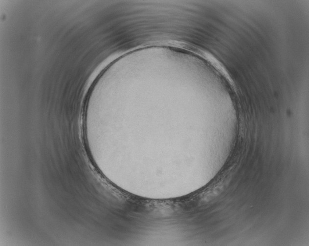 X0000062890955200602101738