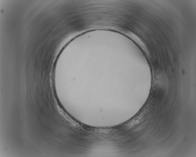 X0000062890958200602101738