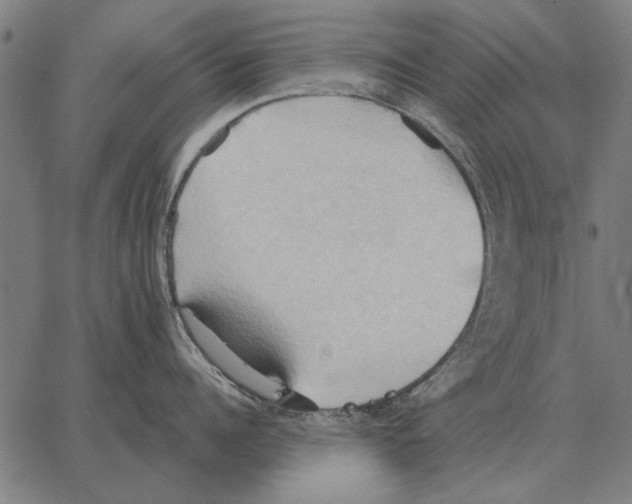 X0000062890960200602101738