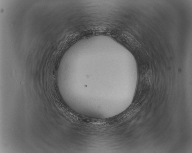 X0000062890961200602101737