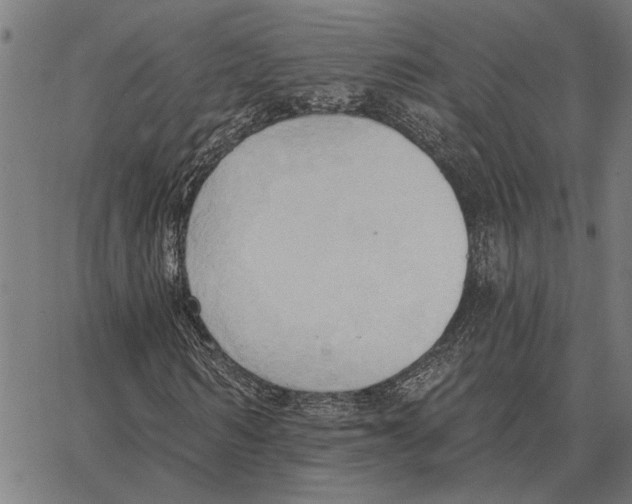 X0000062890962200602101737