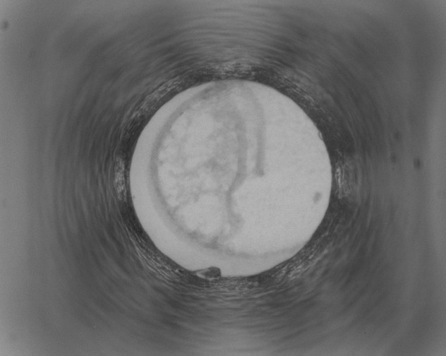 X0000062890963200602101737