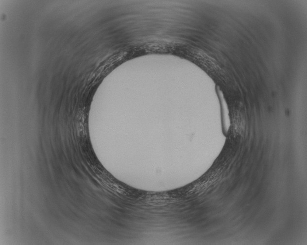 X0000062890964200602101737