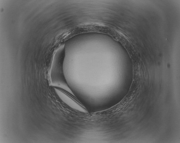 X0000062890965200602101737