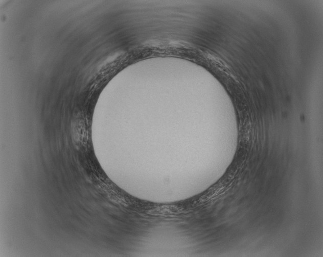 X0000062890966200602101737