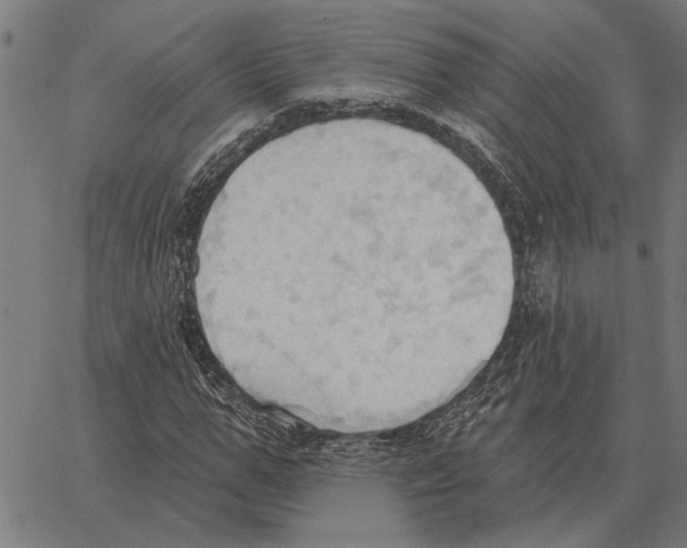 X0000062890967200602101737