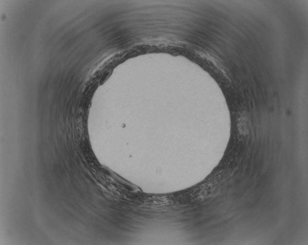 X0000062890968200602101737