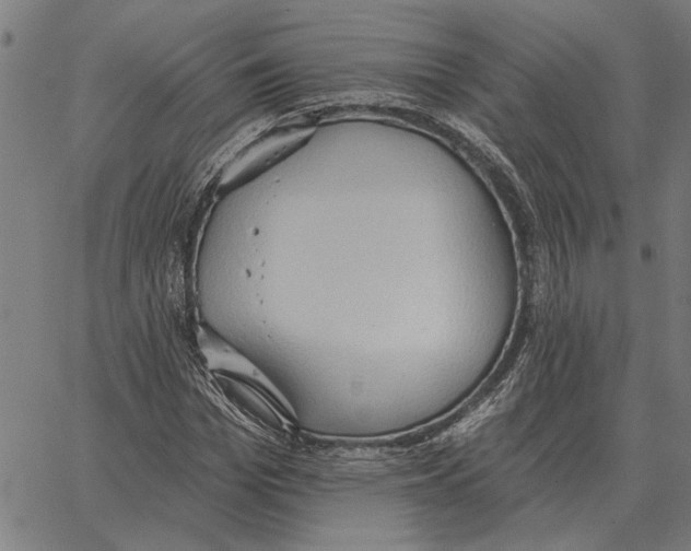 X0000062890969200602101737