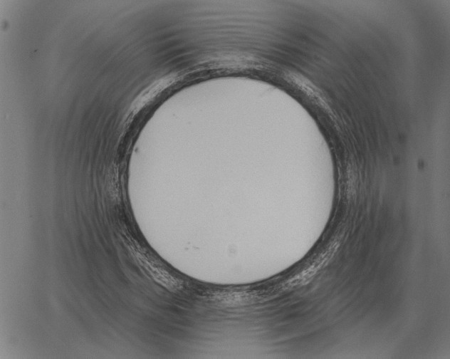 X0000062890970200602101737