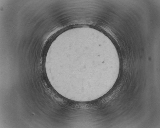 X0000062890971200602101737