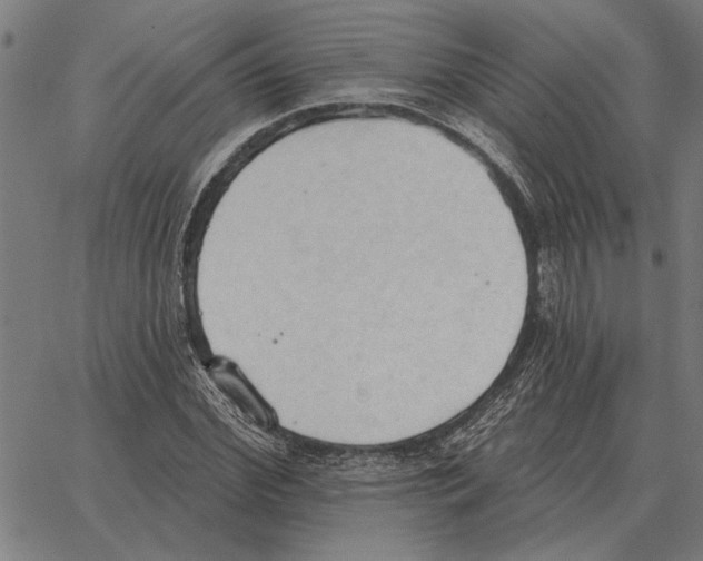 X0000062890972200602101737