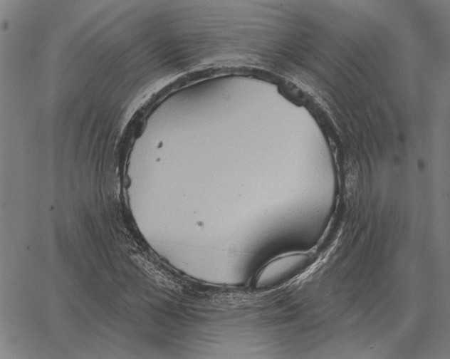 X0000062890973200602101737