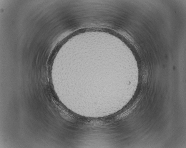 X0000062890974200602101737