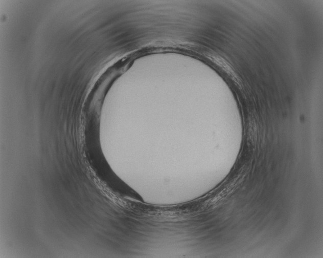 X0000062890976200602101737