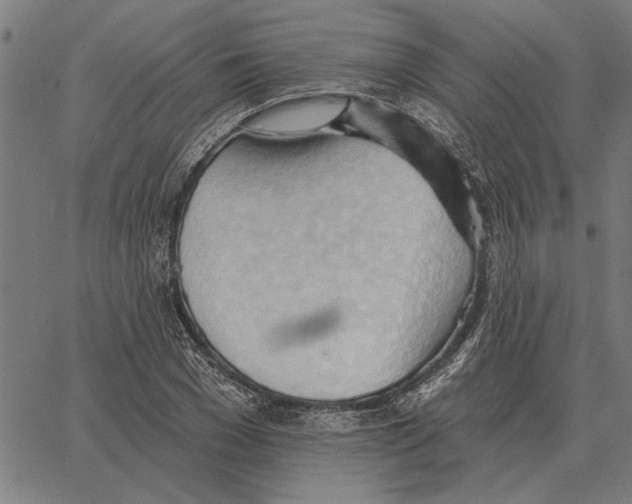 X0000062890977200602101737